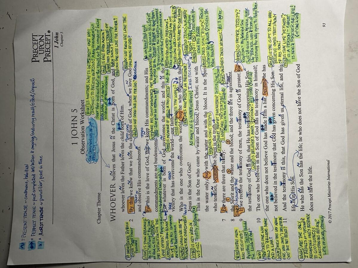 1 John 5 16 Commentary Precept Austin