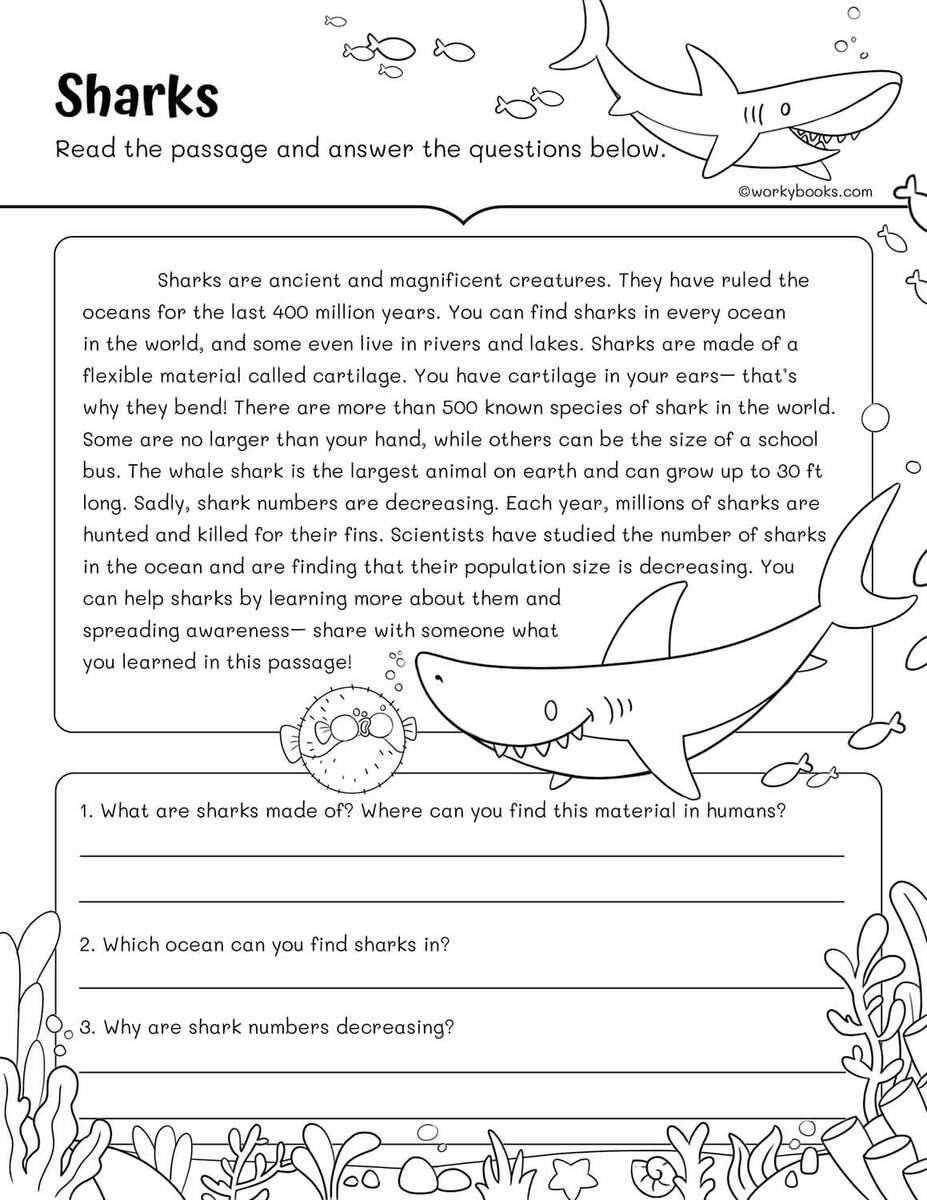 10 Free 3rd Grade Reading Fluency Passages Workybooks 10 Free 3rd Grade Reading Fluency Passages Workybooks