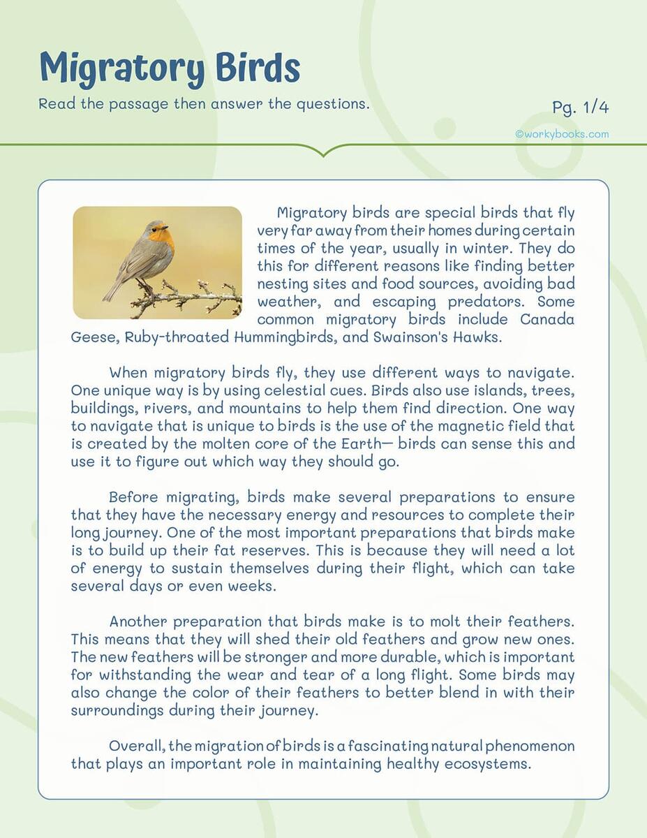 10 Free Science Reading Passages Worksheets Workybooks