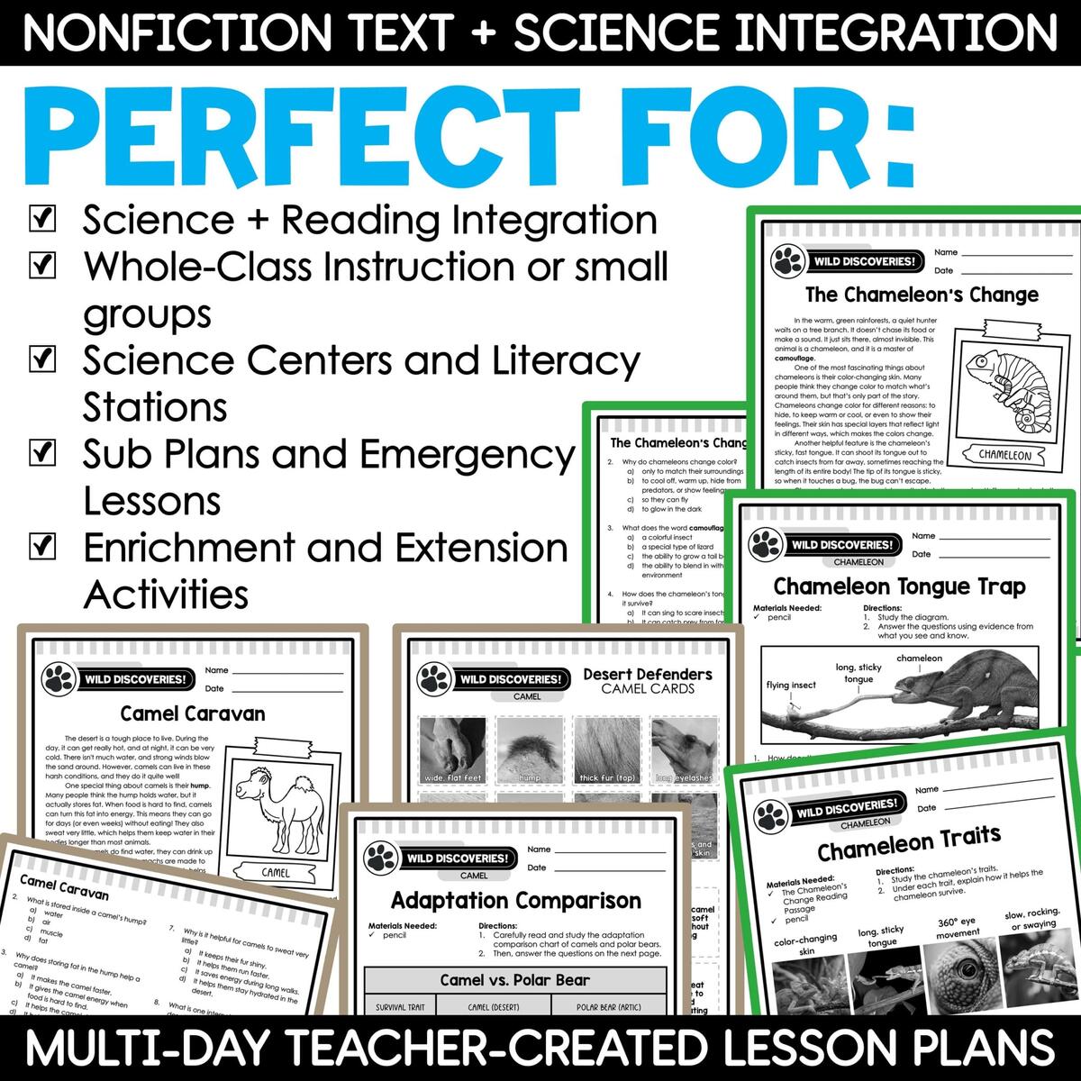 3rd 4th 5th Grade Life Science Worksheets Reading Comprehension Passages Bundle A Love Of Teaching Kim Miller 3rd 4th 5th Grade Life Science Worksheets Reading Comprehension Passages Bundle A Love Of Teaching Kim Miller