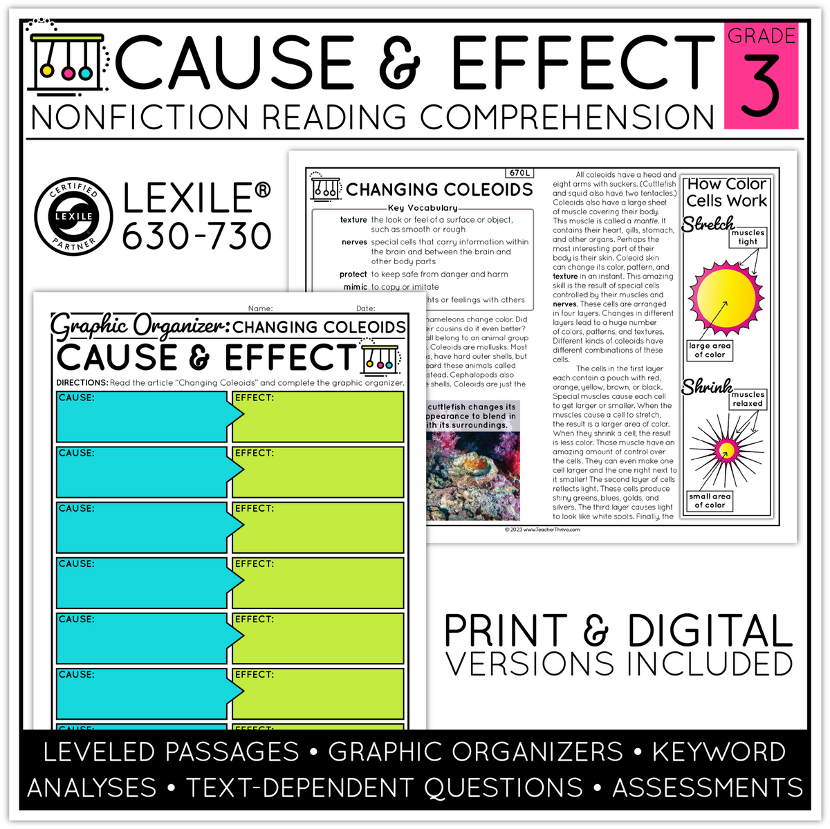 3rd Grade Cause And Effect Nonfiction Text Structure Reading Comprehension Teacher Thrive
