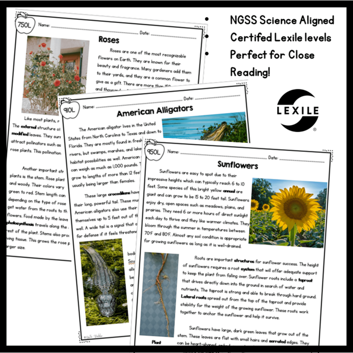 4th Grade NGSS Differentiated Science Passages Bundle MagiCore