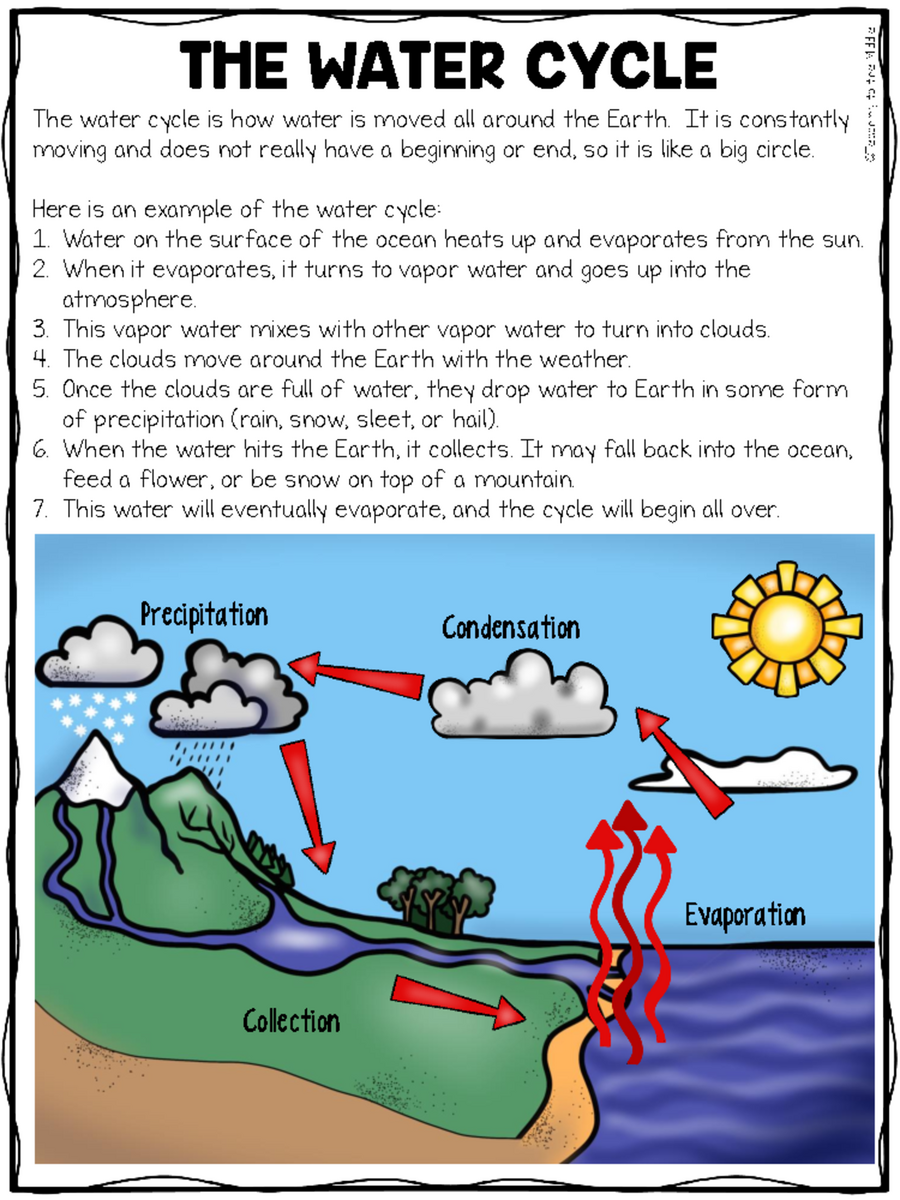 6 Water Cycle Reading Comprehension Worksheet For Science Class Studocu
