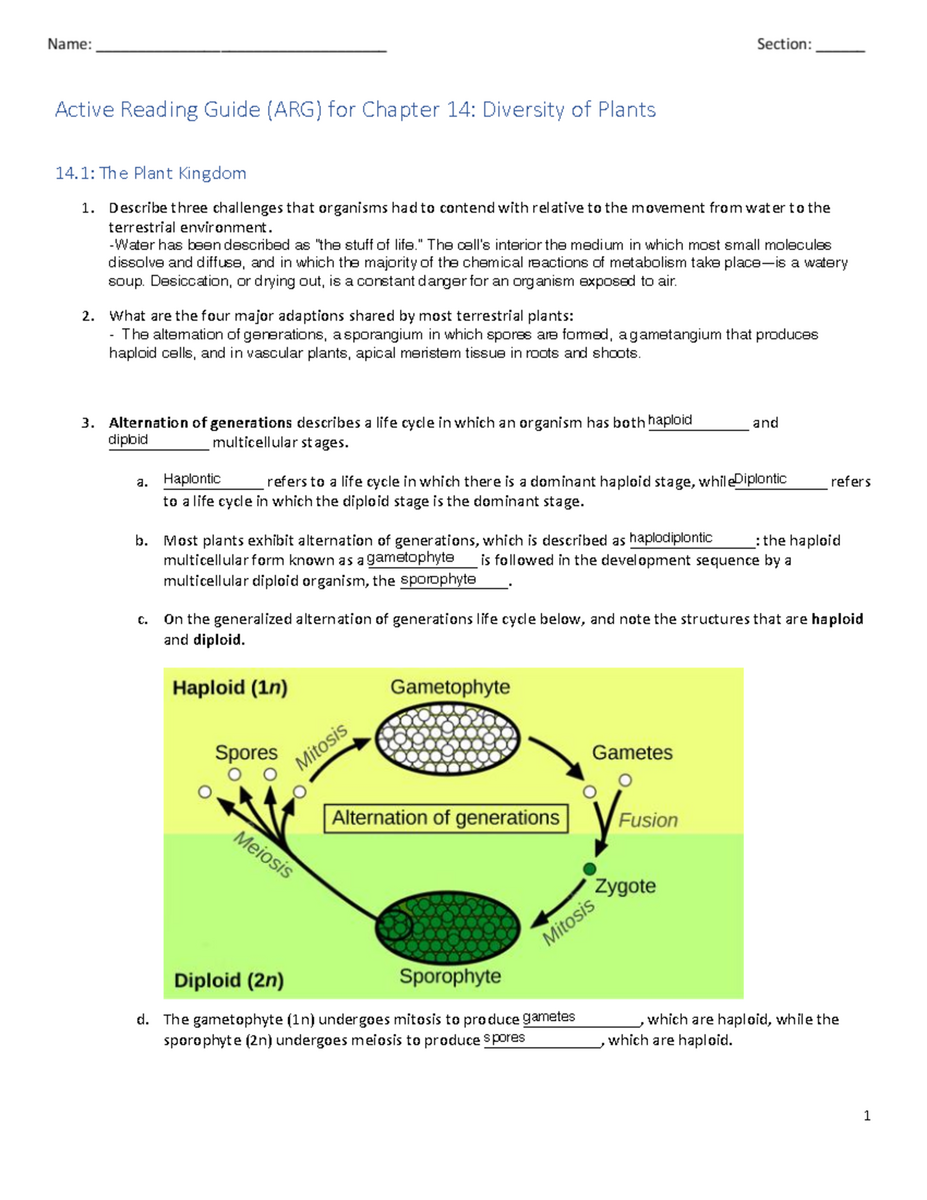 Active Reading Guide For Chapter 14 Diversity Of Plants ARG 2 Studocu