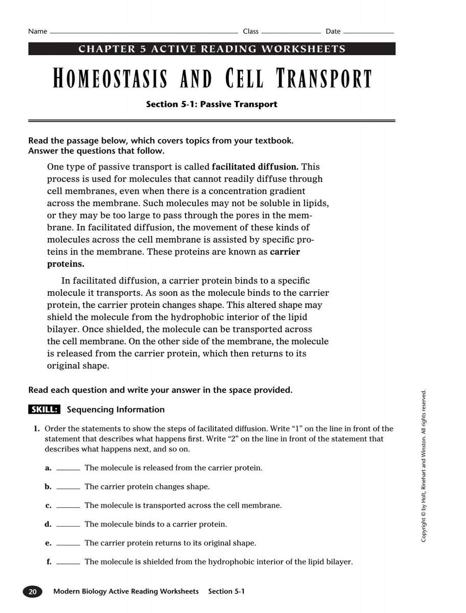 Active Reading Worksheet