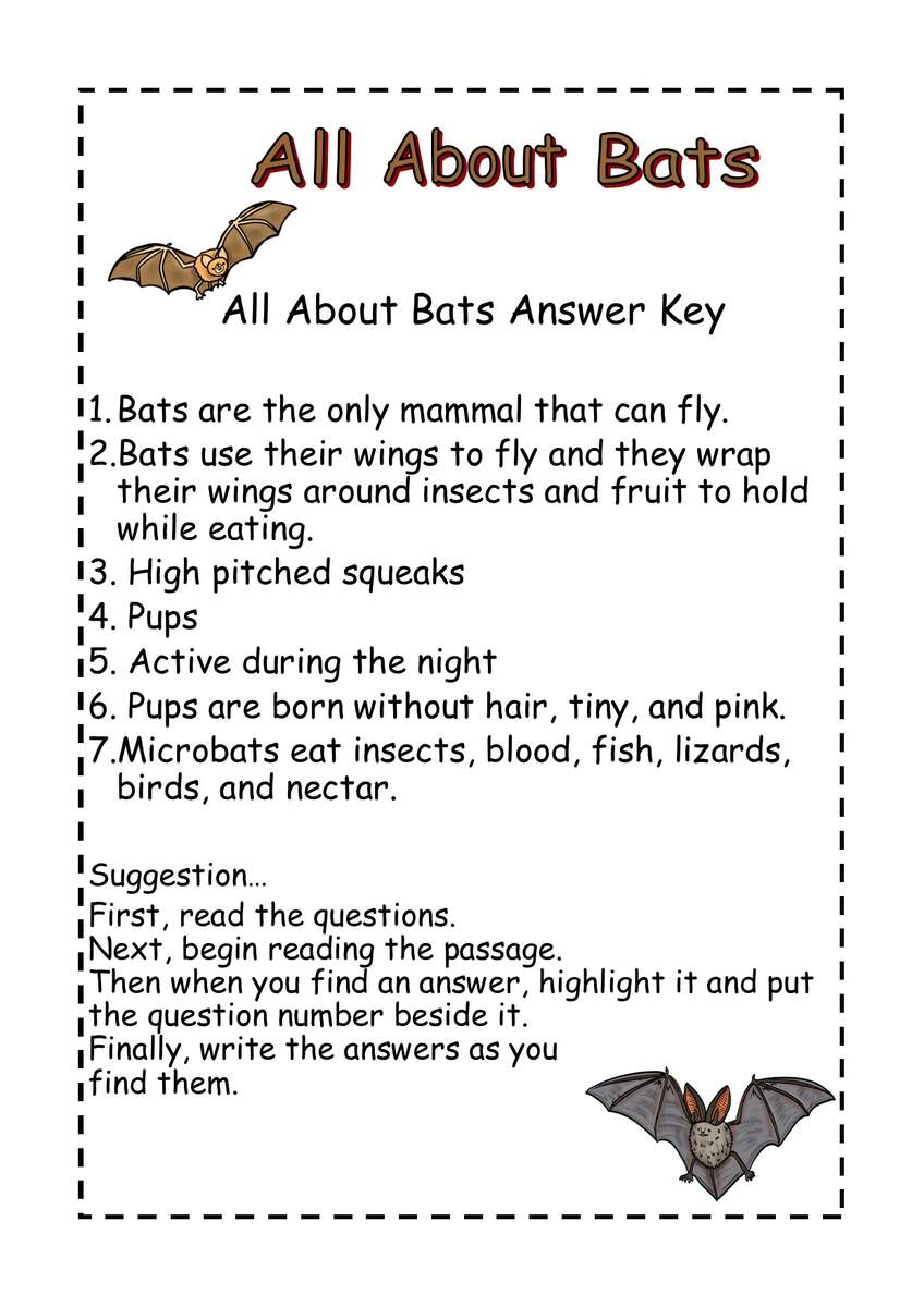All About Bats Reading Comprehension Mini Book Made By Teachers All About Bats Reading Comprehension Mini Book Made By Teachers