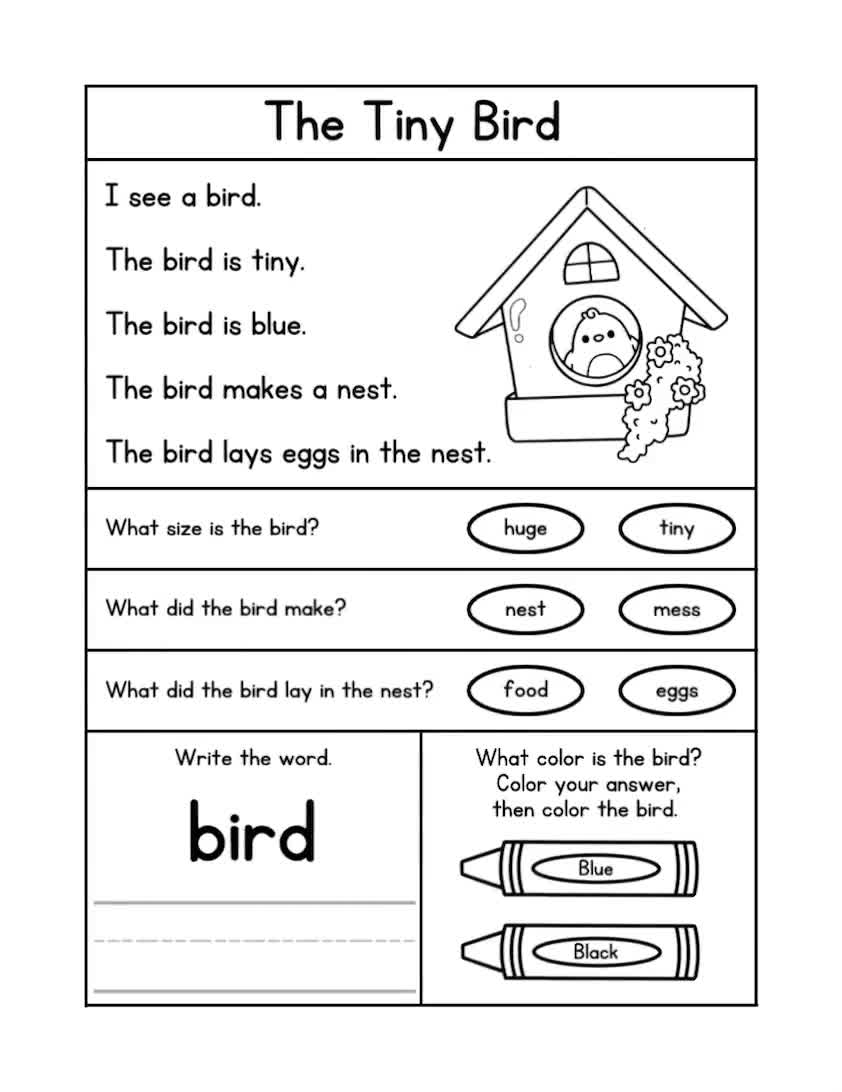 ANIMAL Reading Comprehension Worksheets Kindergarten Reading Reading Passages With Questions First Grade Reading Second Grade Reading Etsy