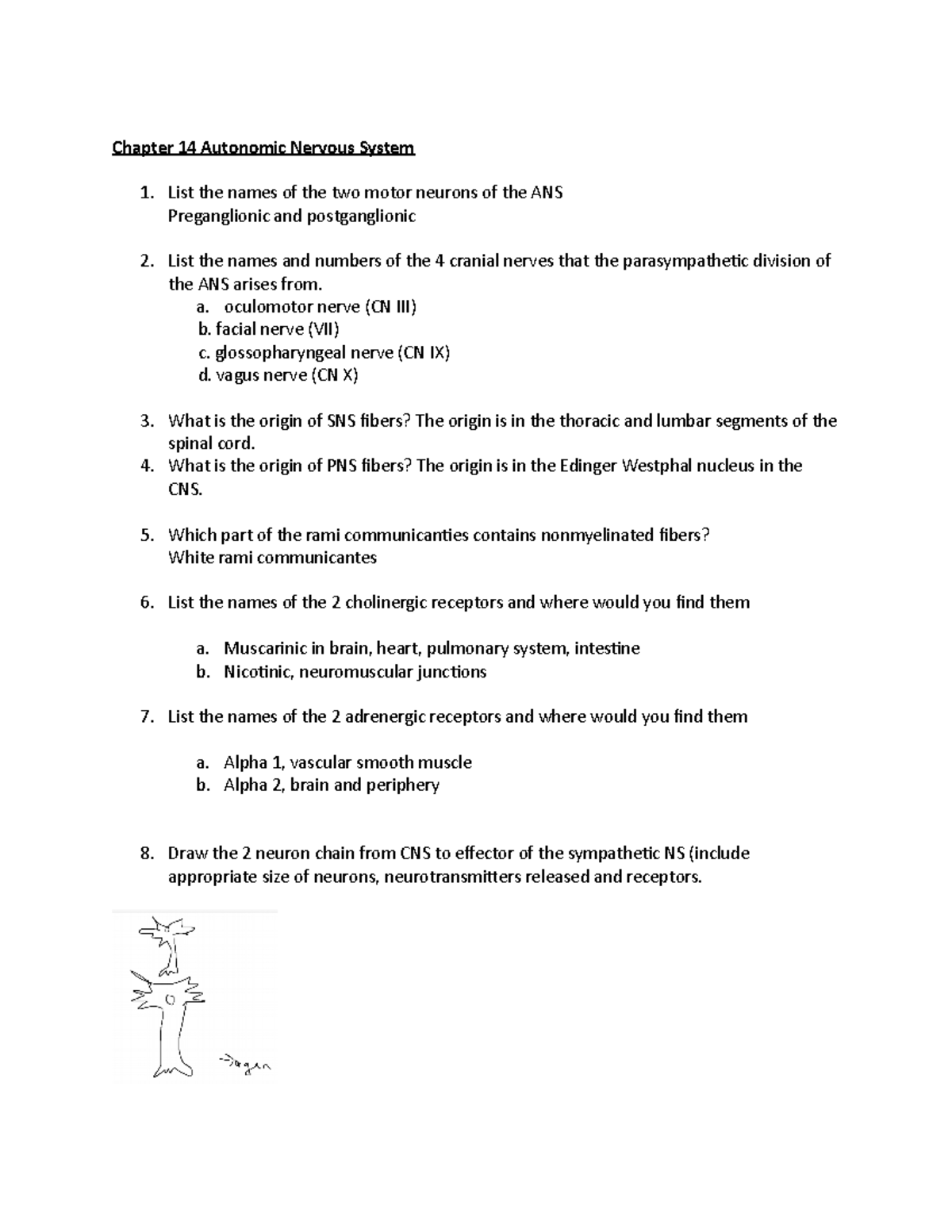 ANS Chapter 14 Worksheet Autonomic Nervous System Overview Studocu ANS Chapter 14 Worksheet Autonomic Nervous System Overview Studocu