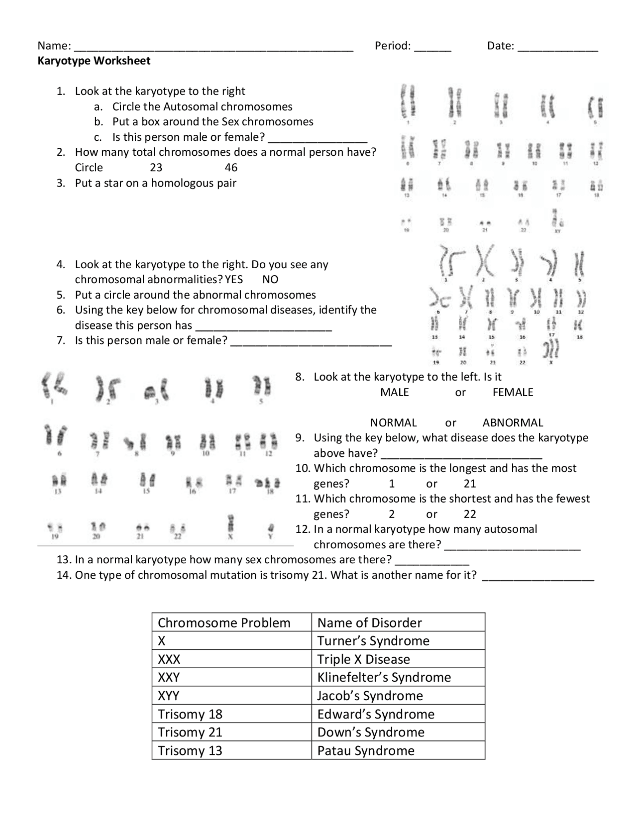 B6F Karyotype Worksheet Study Notes Health Sciences Docsity