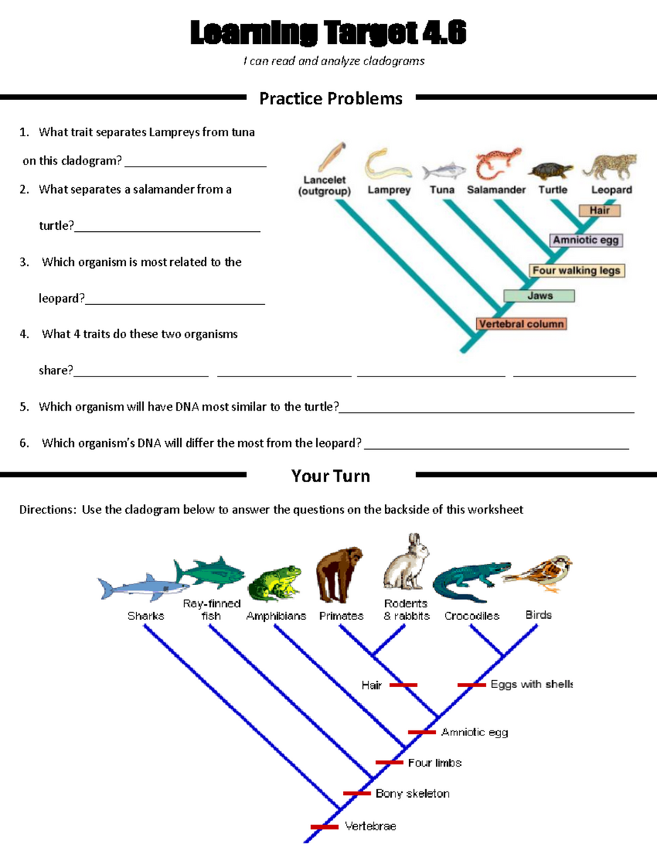 BIO 101 Phylogenetic Tree Practice Worksheet 2 Cladogram Analysis Studocu BIO 101 Phylogenetic Tree Practice Worksheet 2 Cladogram Analysis Studocu