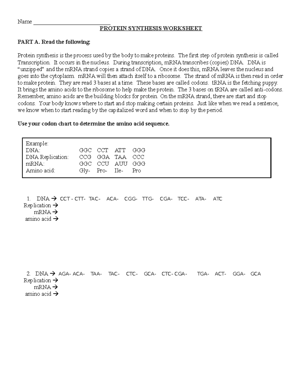Bio 101 Protein Synthesis Worksheet Codon Chart Practice Studocu