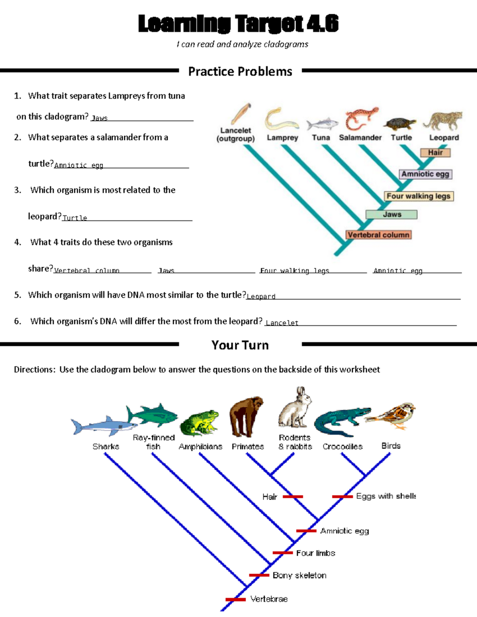 BIOL 101 Cladogram Worksheet Practice Problems Analysis Studocu BIOL 101 Cladogram Worksheet Practice Problems Analysis Studocu