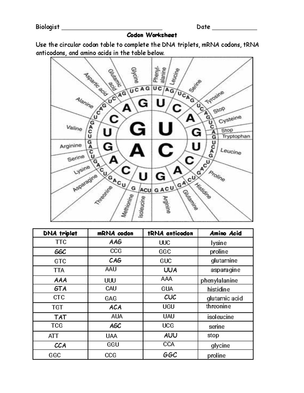 Biology 101 Aaliyah Washington Codon Worksheet 2 Guide Studocu Biology 101 Aaliyah Washington Codon Worksheet 2 Guide Studocu