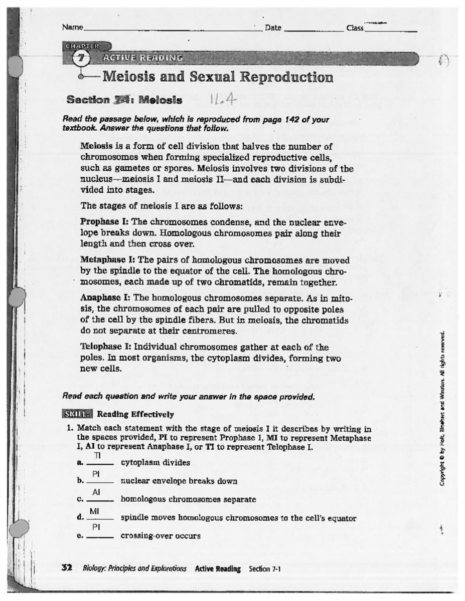Biology 101 Meiosis Sexual Reproduction Worksheet Studocu