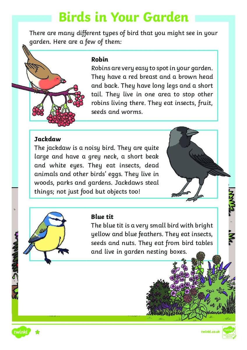 Birds In Your Garden Differentiated Reading Comprehension Activity St Cyprian S Greek Orthodox Primary Academy Hummingbirds Nonfiction Reading Activity