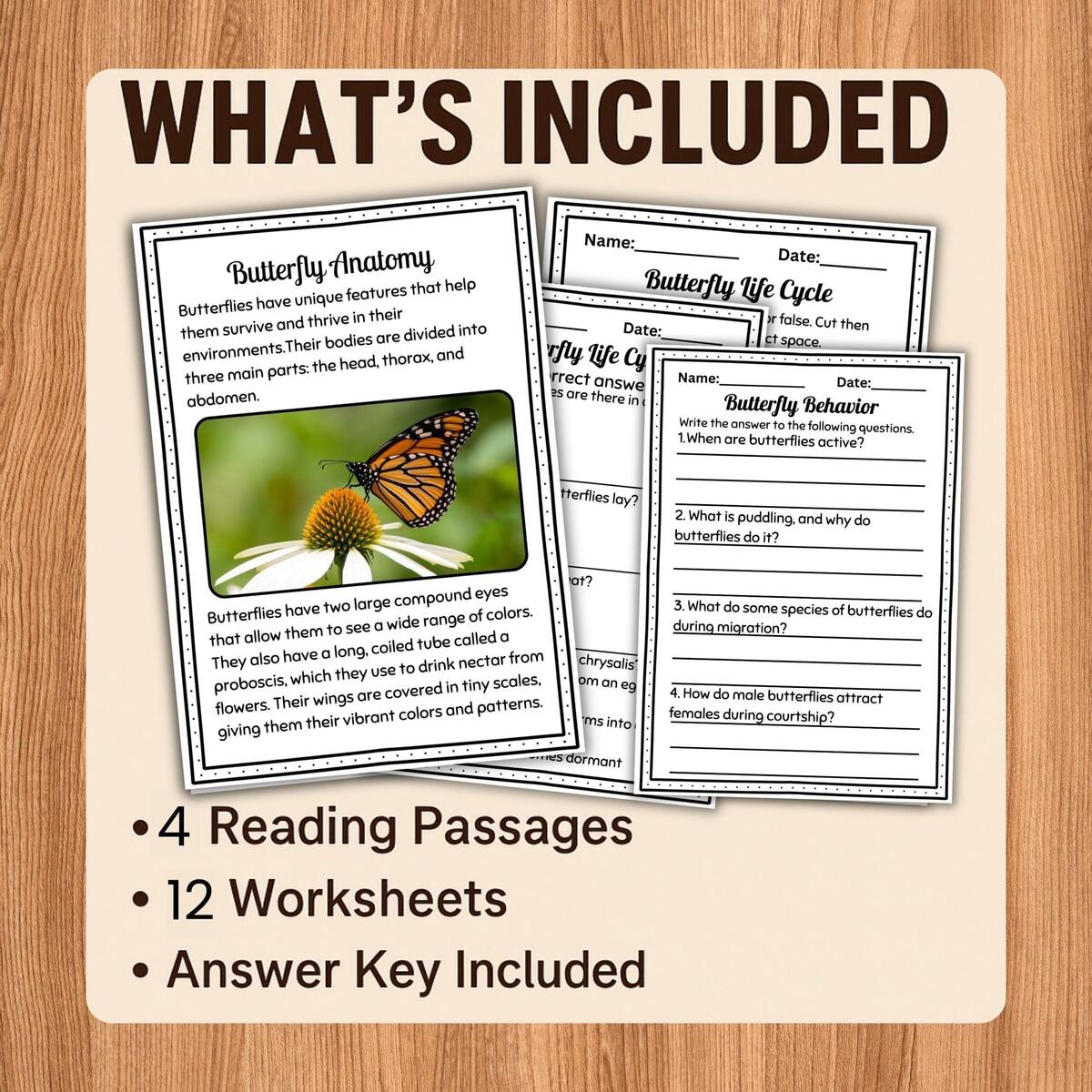 Butterfly Reading Comprehension Worksheets Nonfiction Passages For Grades K 2 Spring Insect Literacy PDF Homeschool Resource Etsy Butterfly Reading Comprehension Worksheets Nonfiction Passages For Grades K 2 Spring Insect Literacy PDF Homeschool Resource Etsy