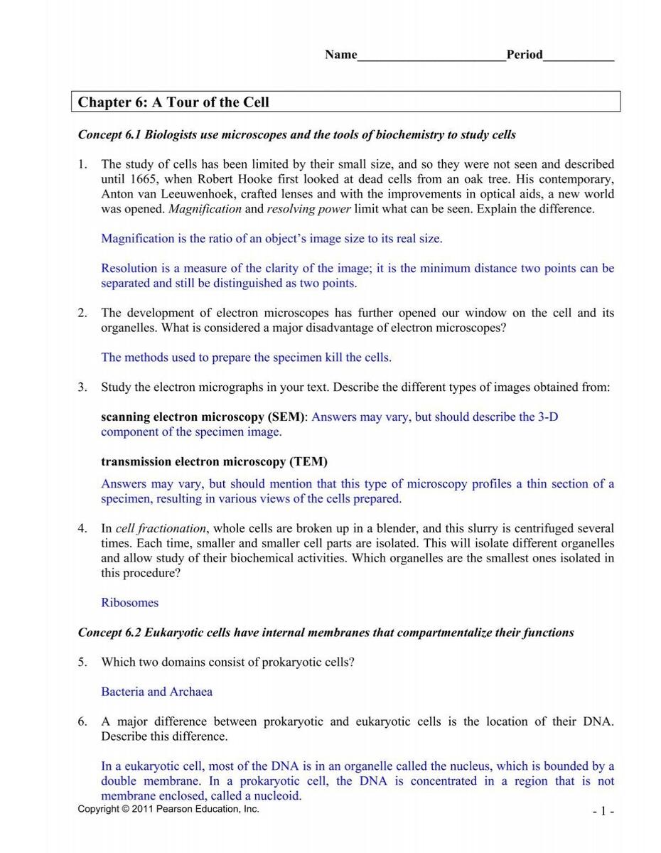 C9e answers active reading 06