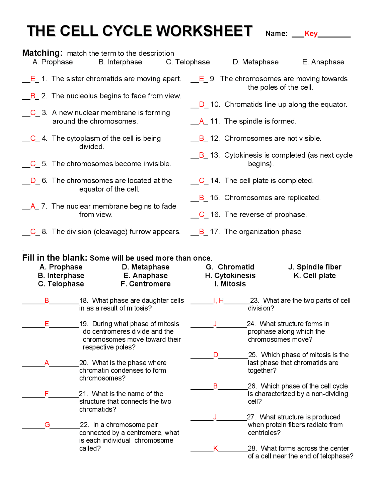 Cell Cycle Doodle Notes Emmatheteachie Freebie