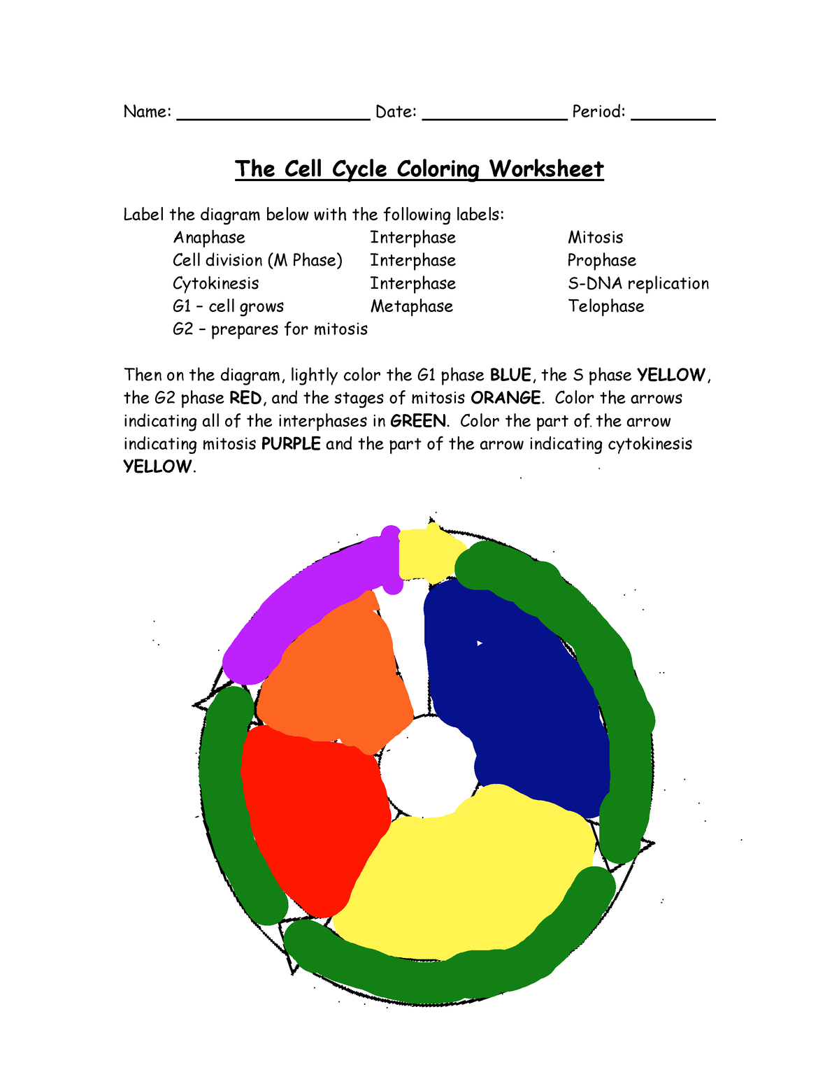 Cell Cycle Worksheet N A Name Date Period The Cell Cycle Worksheets Library