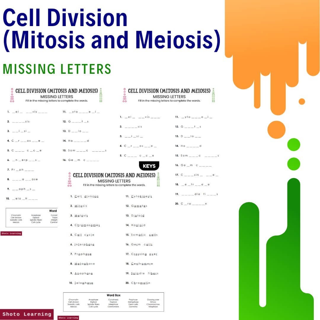 Cell Division Worksheet Mitosis Meiosis Q A PDF Download
