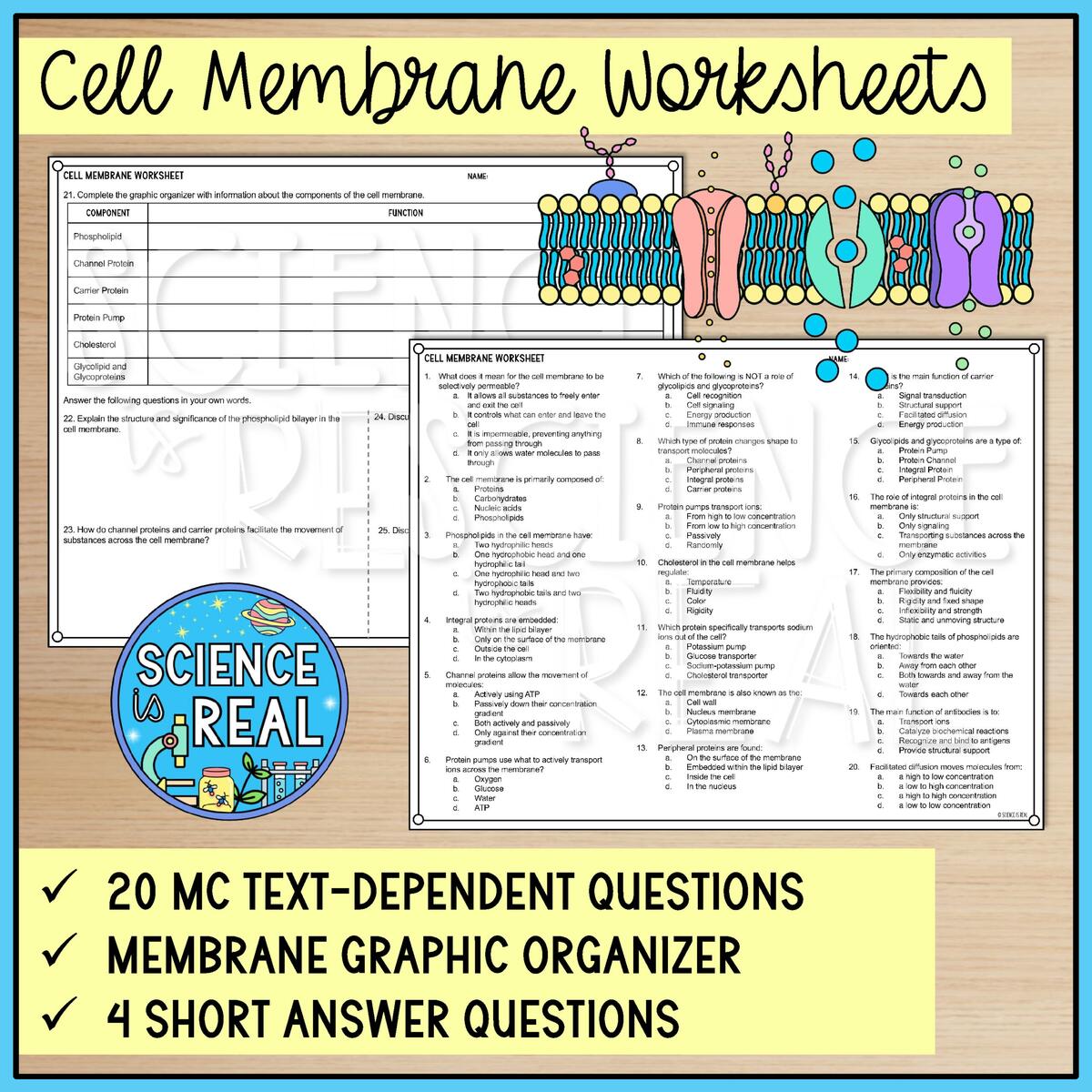 Cell Membrane Reading Passage With Comprehension Questions Study Prints