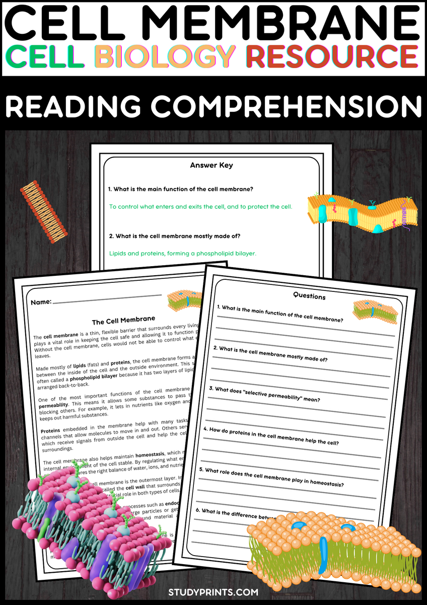 Cell Membrane Reading Passage With Comprehension Questions Study Prints