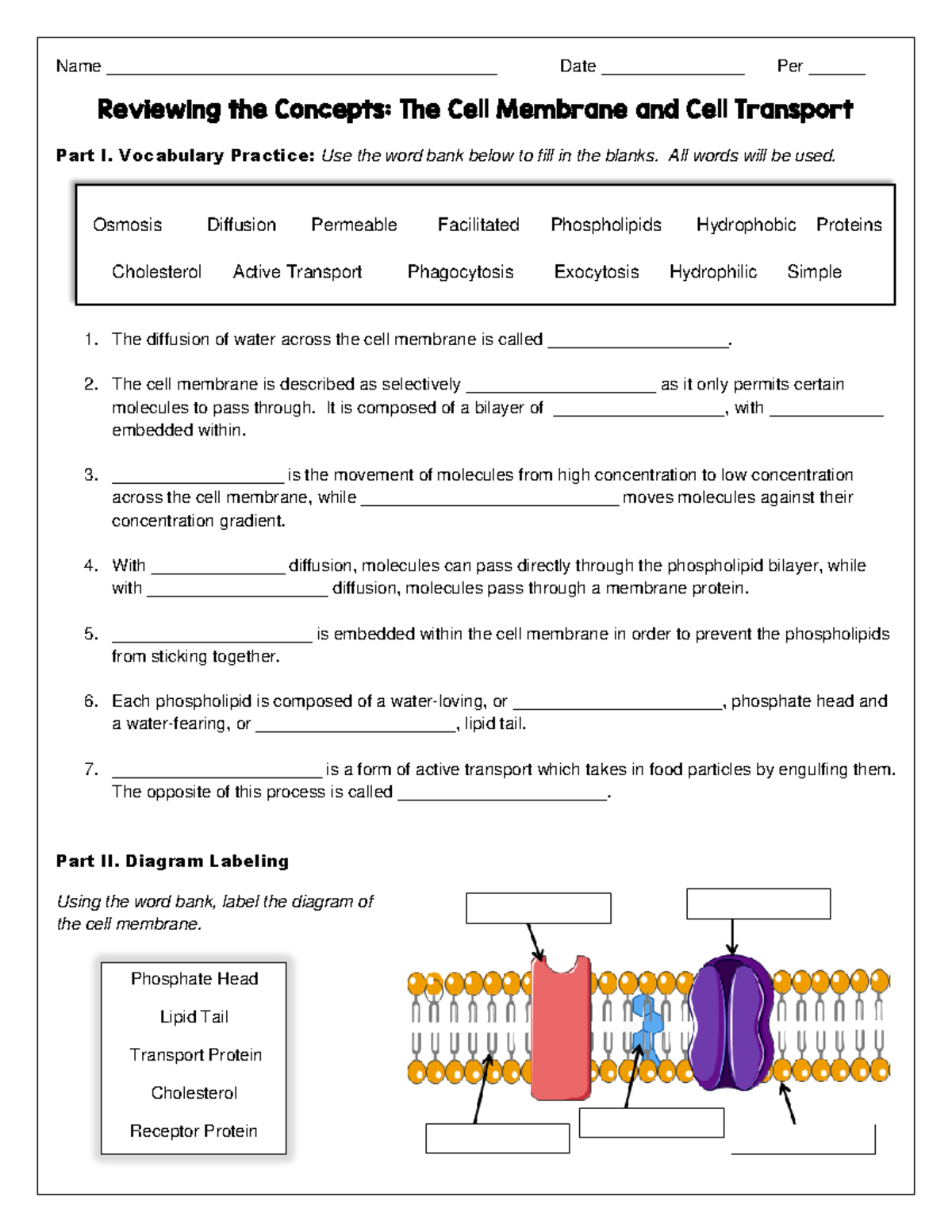 Cell Membrane Transport Concepts Worksheet Biology 101 Studocu