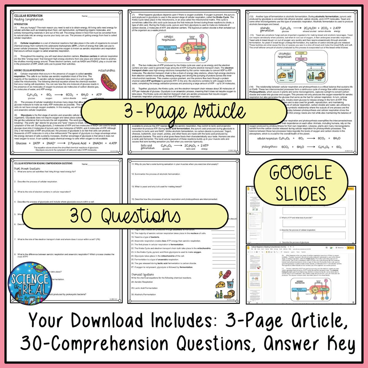 Cell Respiration Reading Comprehension And Questions Classful Cell Respiration Reading Comprehension And Questions Classful