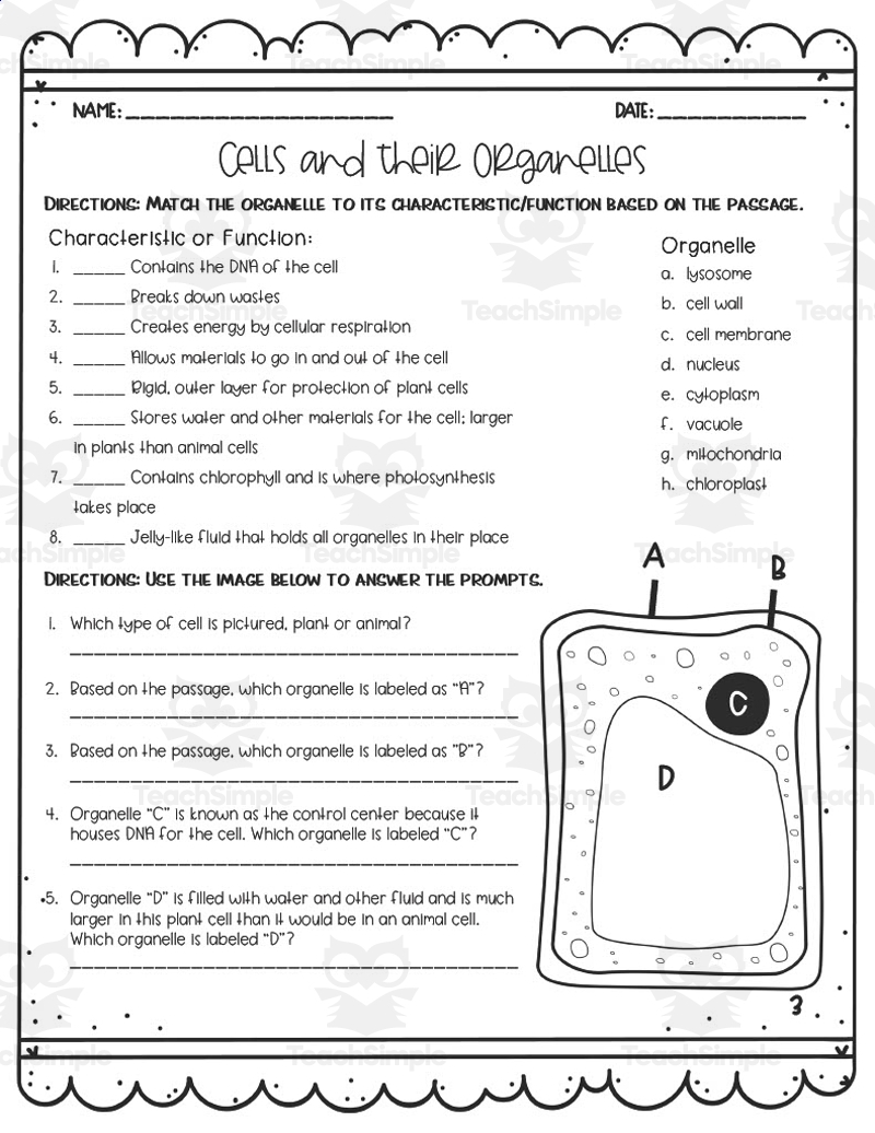 Cells And Their Organelles Explained PDF Worksheets Library Cells And Their Organelles Explained PDF Worksheets Library