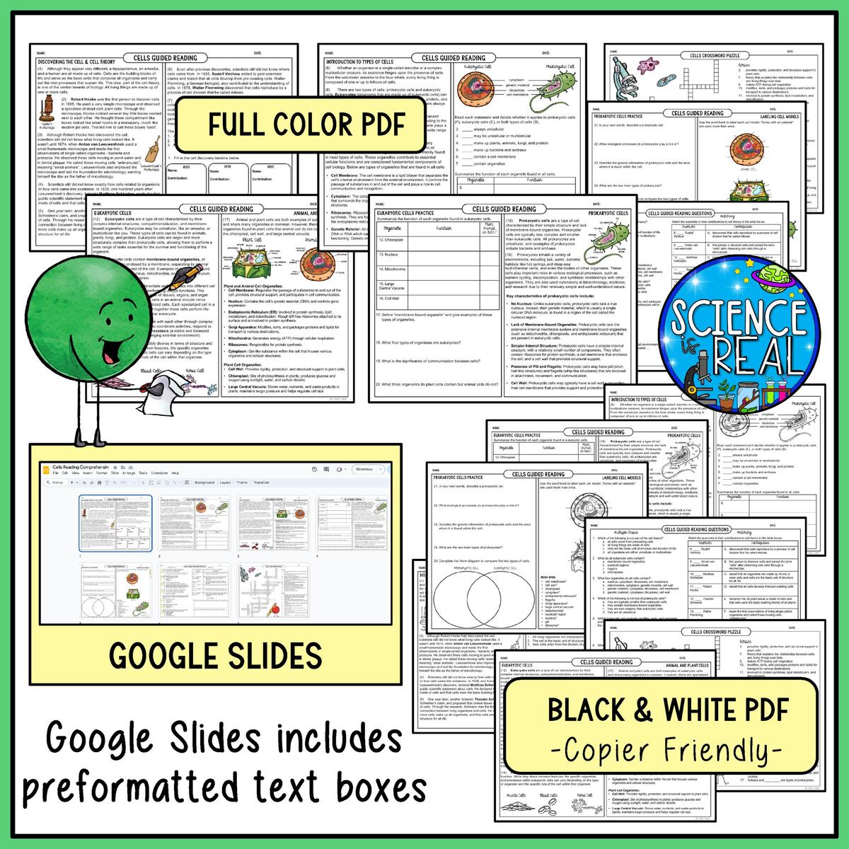 Cells Reading Comprehension Cell Theory Types Of Cells And Cell Organelles Classful Cells Reading Comprehension Cell Theory Types Of Cells And Cell Organelles Classful