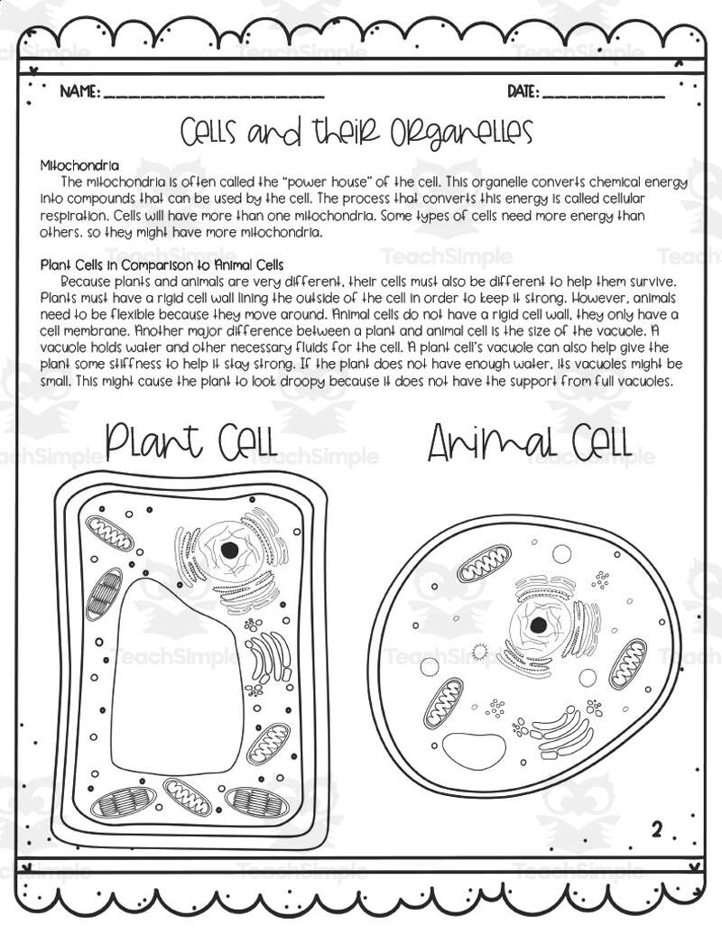 Cells Their Organelles Reading Activity By Teach Simple Cells Their Organelles Reading Activity By Teach Simple
