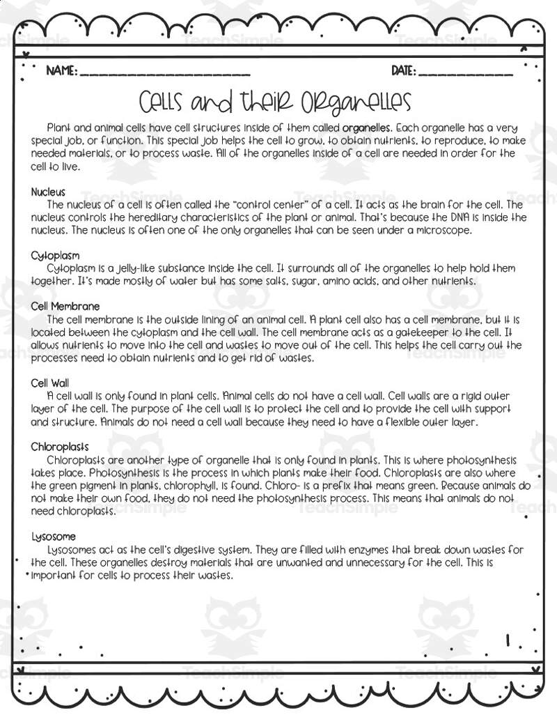 Cells Their Organelles Reading Activity By Teach Simple Cells Their Organelles Reading Activity By Teach Simple