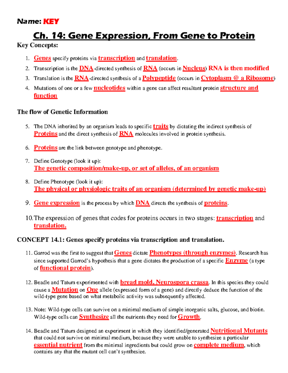 Ch 14 Gene Expression Key Concepts Insights 2017 Studocu Ch 14 Gene Expression Key Concepts Insights 2017 Studocu