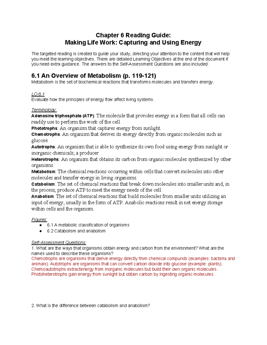 Ch 6 Reading Guide Energy Flow Chemical Reactions In Biology Studocu Ch 6 Reading Guide Energy Flow Chemical Reactions In Biology Studocu