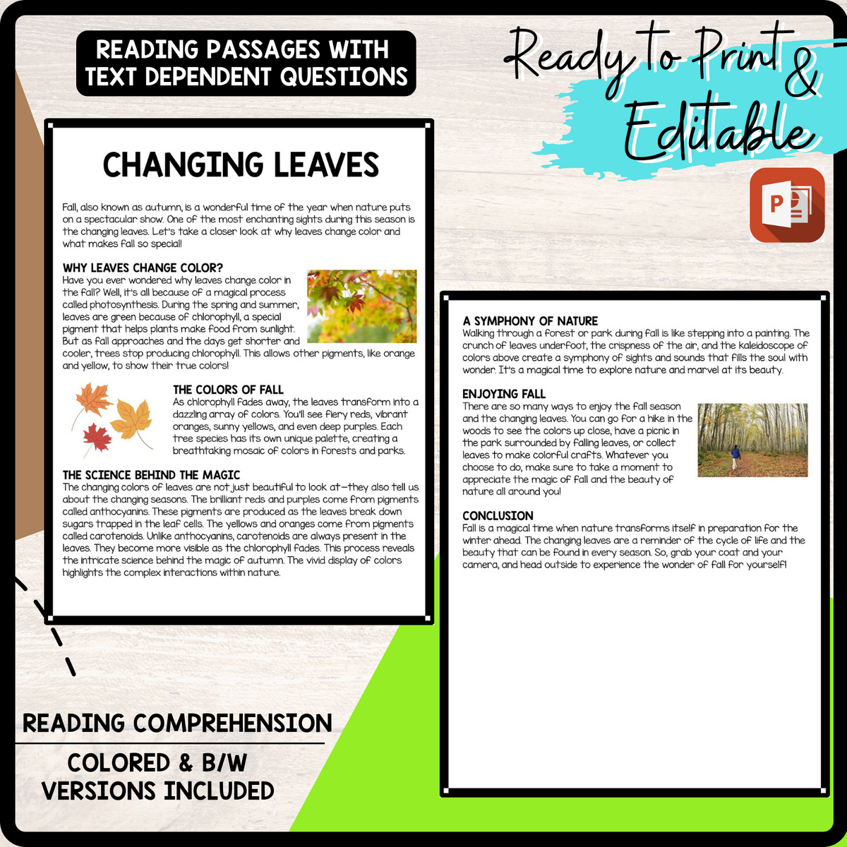 Changing Leaves Reading Comprehension Worksheet Teachers Stock
