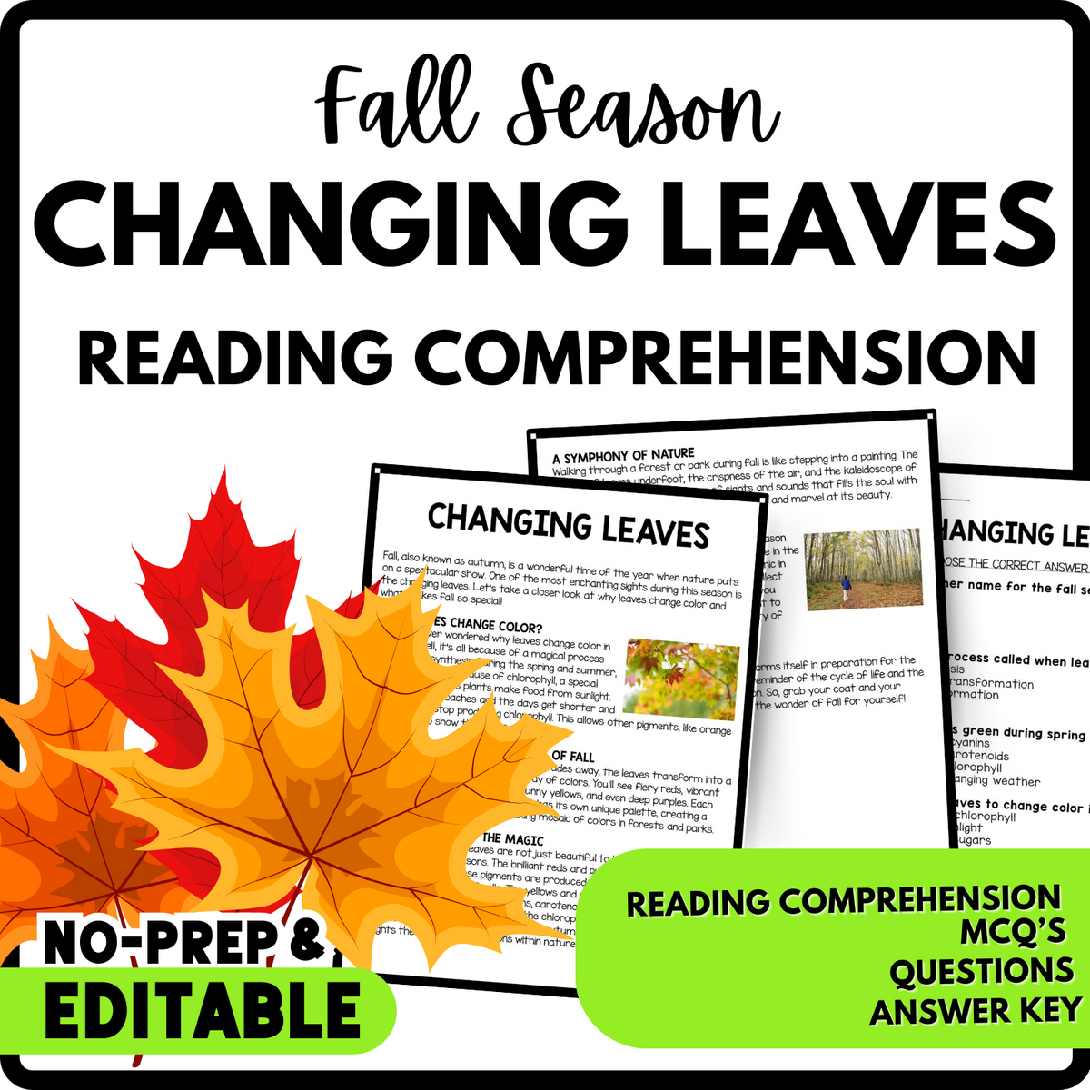 Changing Leaves Reading Comprehension Worksheet Teachers Stock