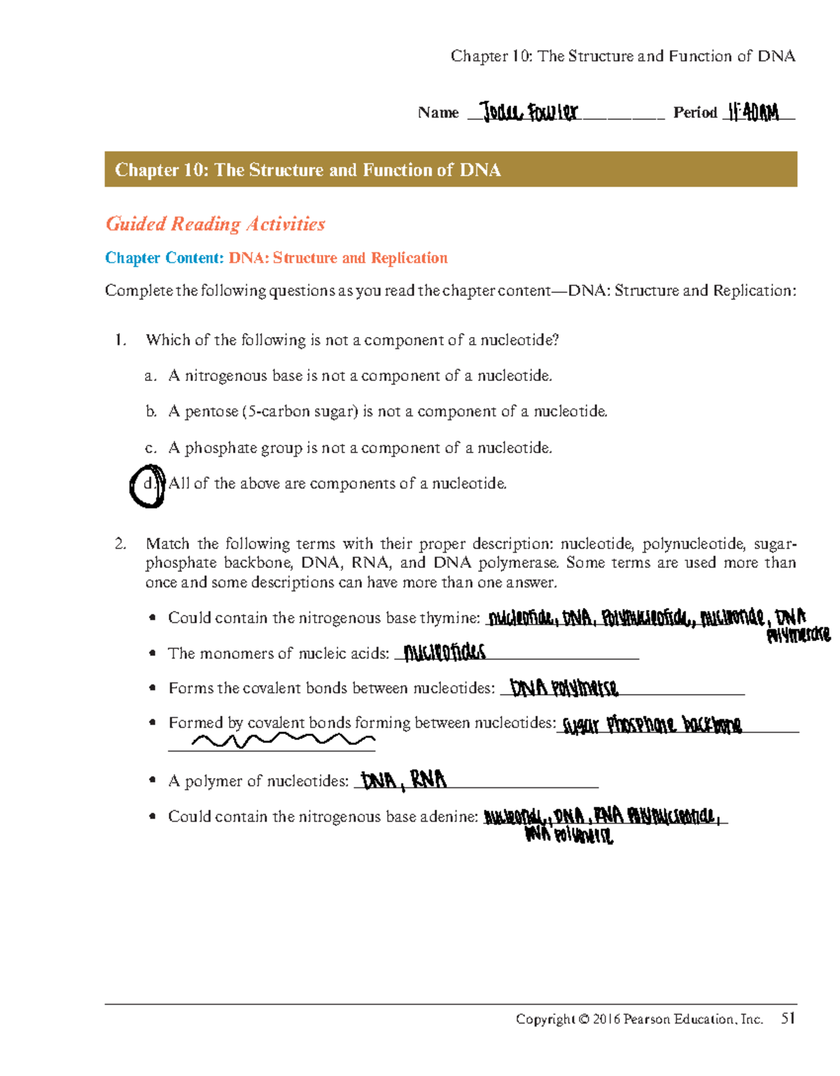 Chapter 10 Guided Reading DNA Structure Replication Activities Studocu Chapter 10 Guided Reading DNA Structure Replication Activities Studocu