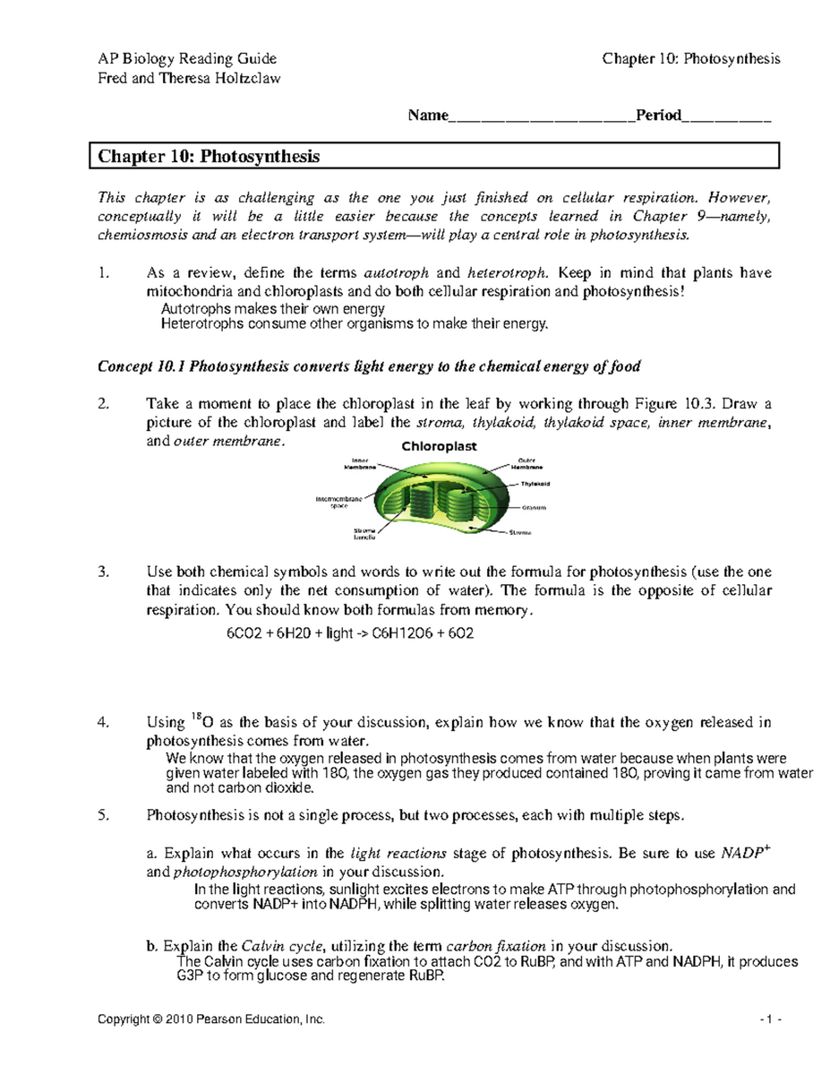 Chapter 10 Photosynthesis Study Guide And Review Notes Studocu Chapter 10 Photosynthesis Study Guide And Review Notes Studocu