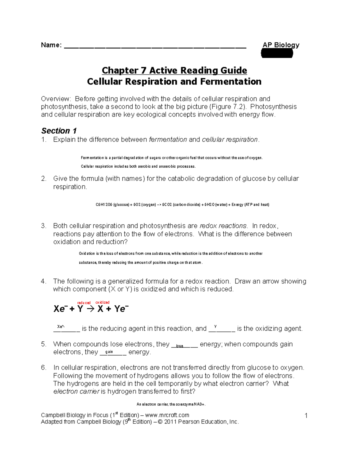 Chapter 7 Active Reading Guide Cellular Respiration Fermentation AP Bio Studocu Chapter 7 Active Reading Guide Cellular Respiration Fermentation AP Bio Studocu