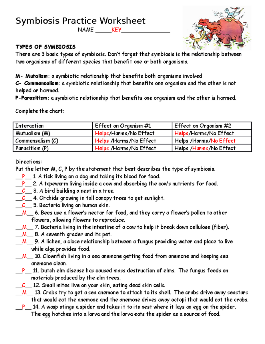 Chapter 8 Cell Transport Notes Lesson Summary On Passive Active Transport Studocu