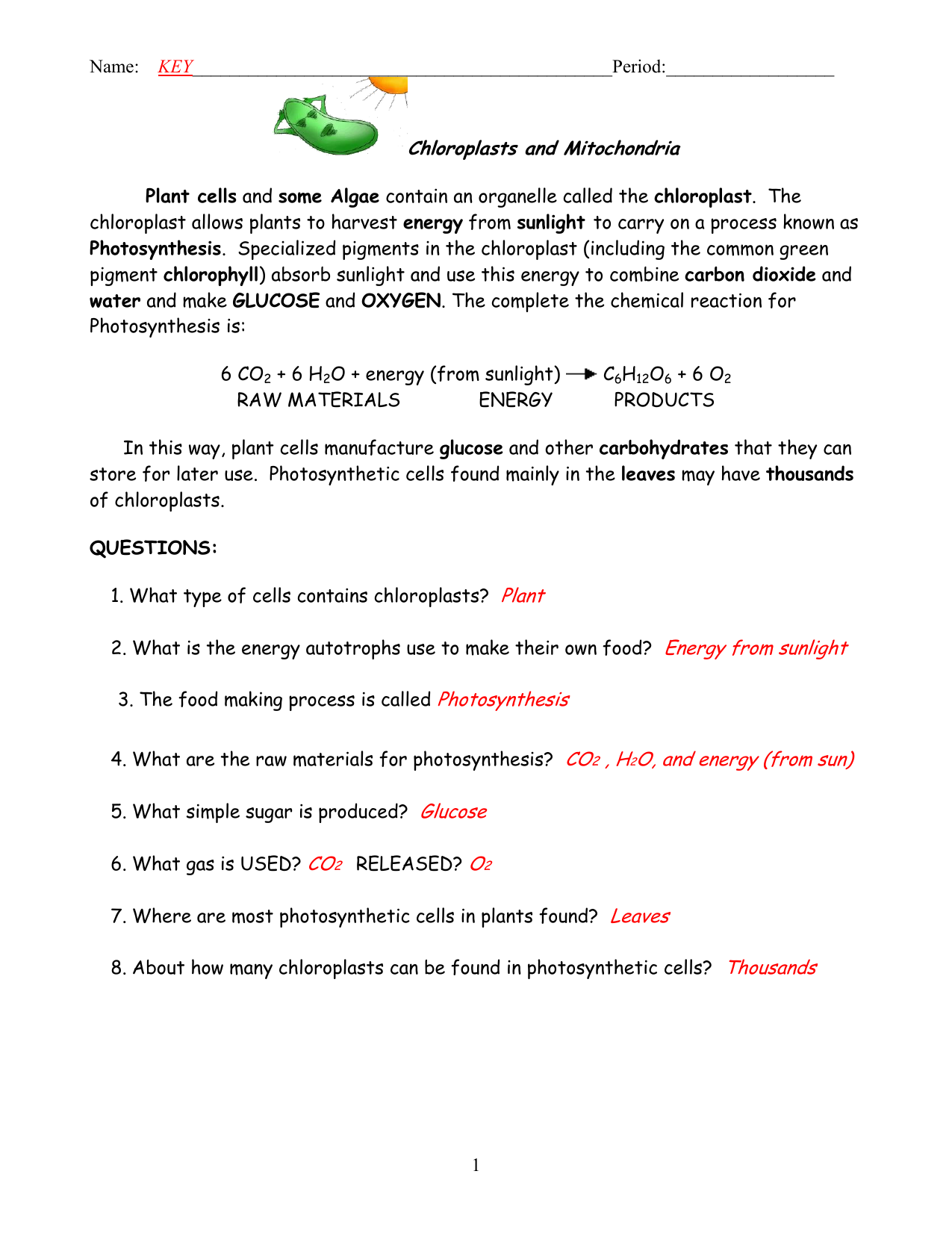 Chloroplasts Mitochondria Worksheet Photosynthesis Respiration