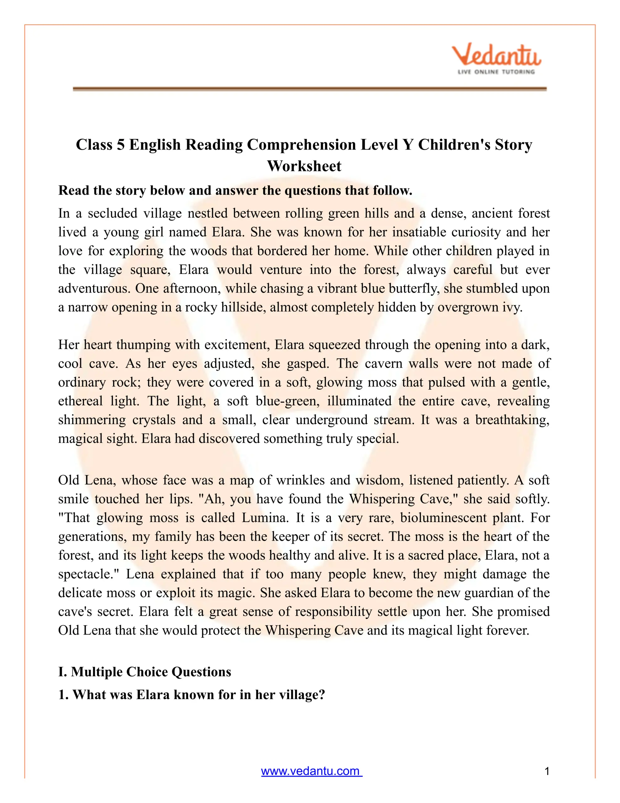 Class 5 Reading Comprehension Worksheet PDF Level Y Story Practice