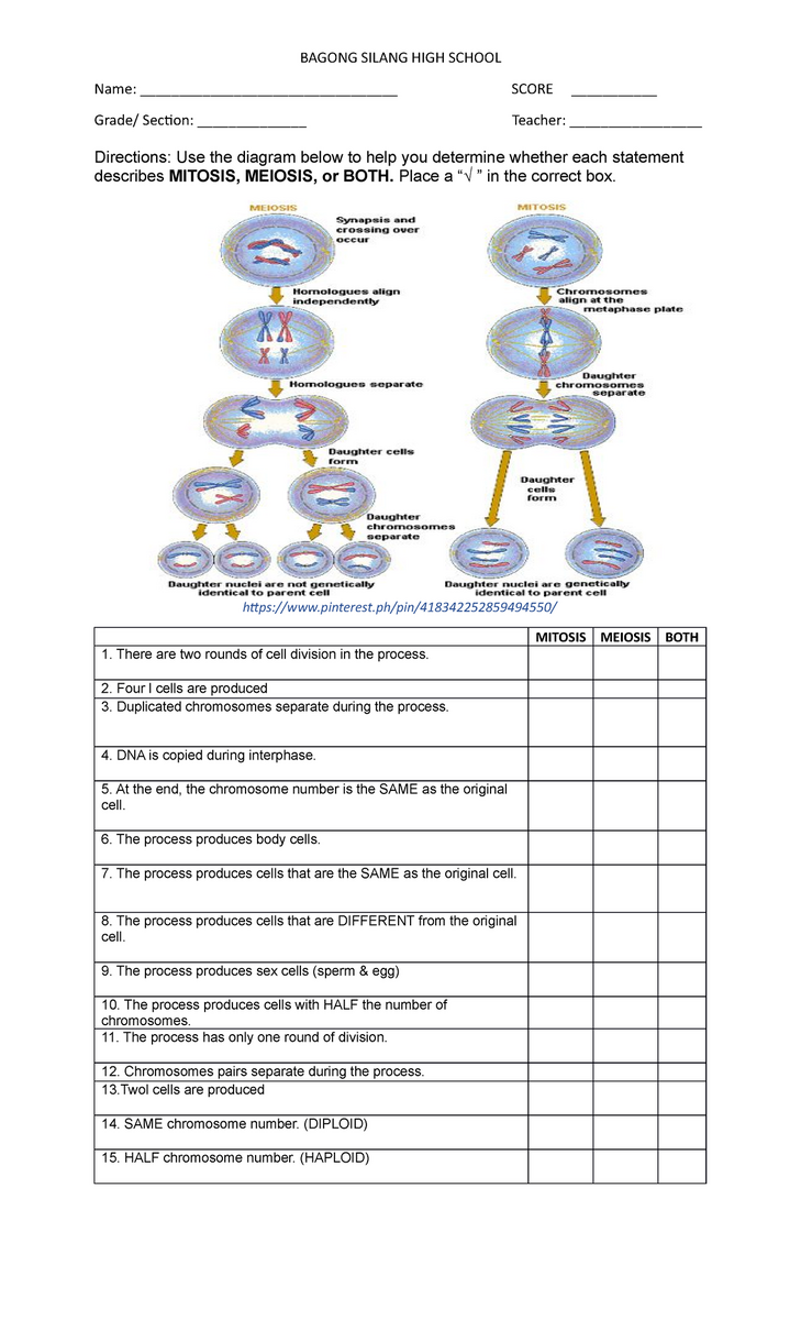 Comparing Mitosis And Meiosis Worksheet For Biology 101 Studocu Comparing Mitosis And Meiosis Worksheet For Biology 101 Studocu