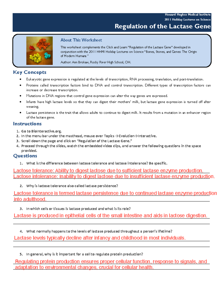 Cycles Of Matter Guided Reading For Ch 3 3 Copy Studocu Cycles Of Matter Guided Reading For Ch 3 3 Copy Studocu