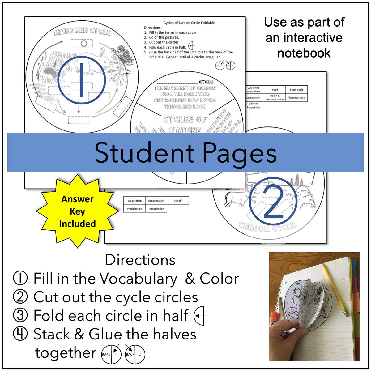 Cycles Of Nature Circle Foldable Classful Cycles Of Nature Circle Foldable Classful