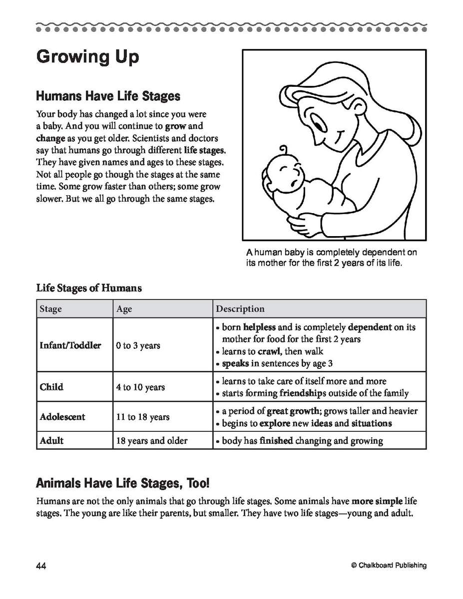 Daily Reading Comprehension Fourth Grade EBook