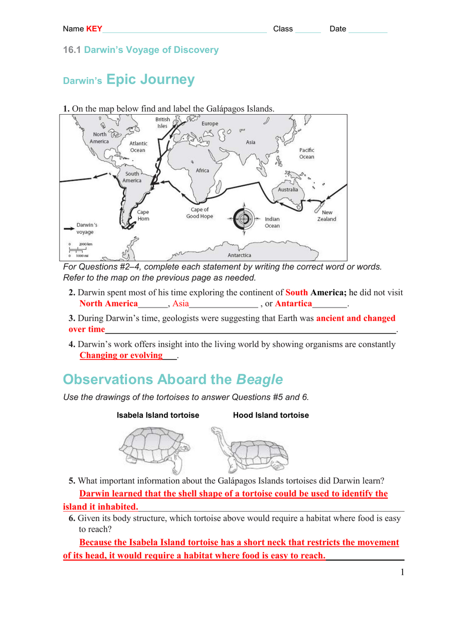 Darwin s Voyage Evolution Worksheet