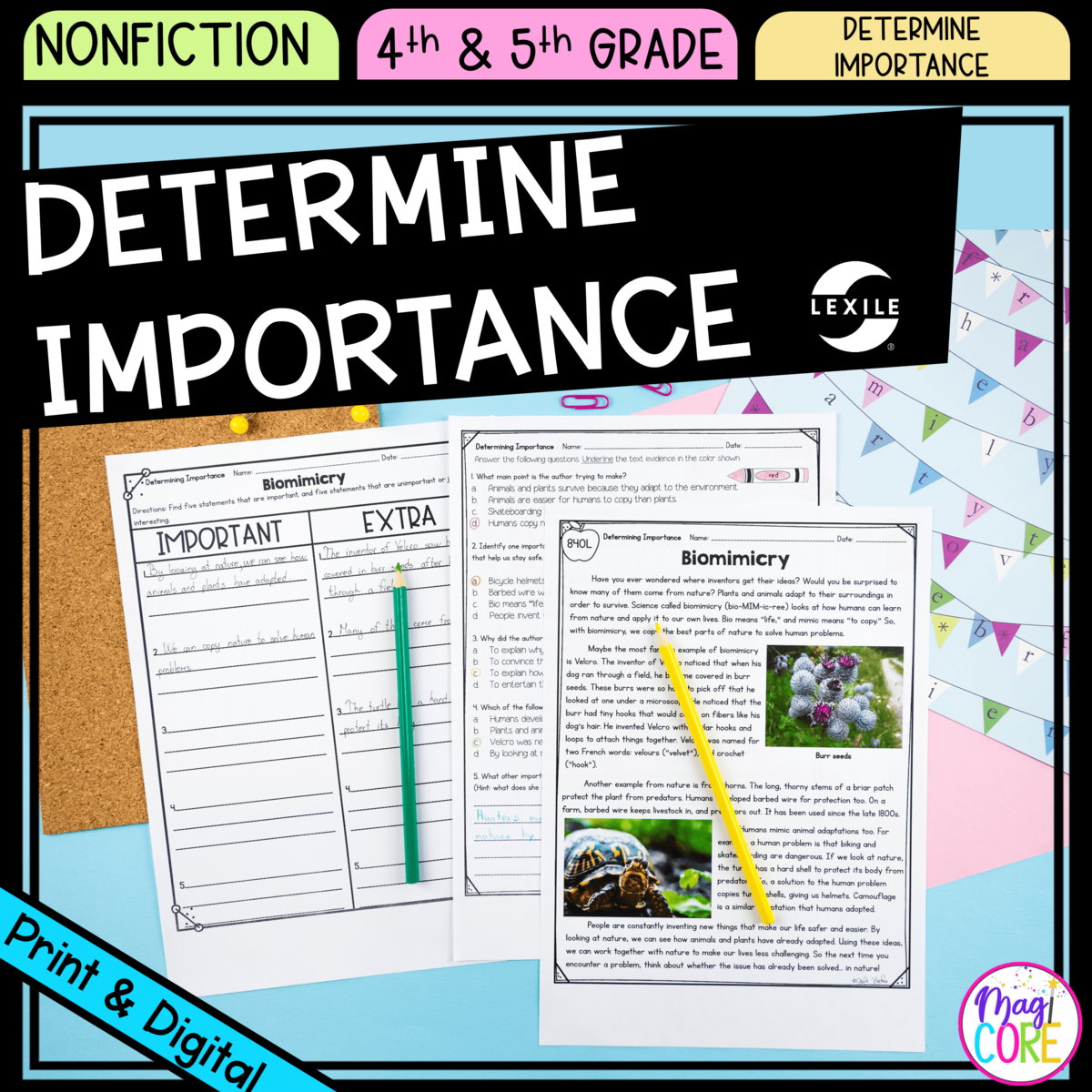 Encourage Determining Importance As A Strategy In The Classroom Prim Ed Publishing
