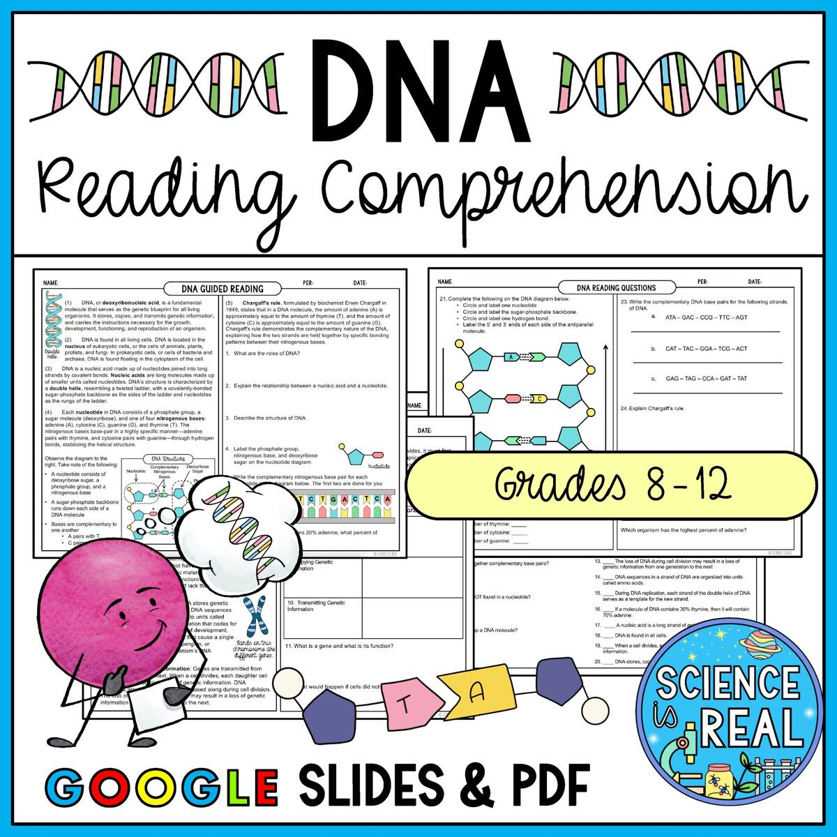 DNA Guided Reading Comprehension Classful DNA Guided Reading Comprehension Classful