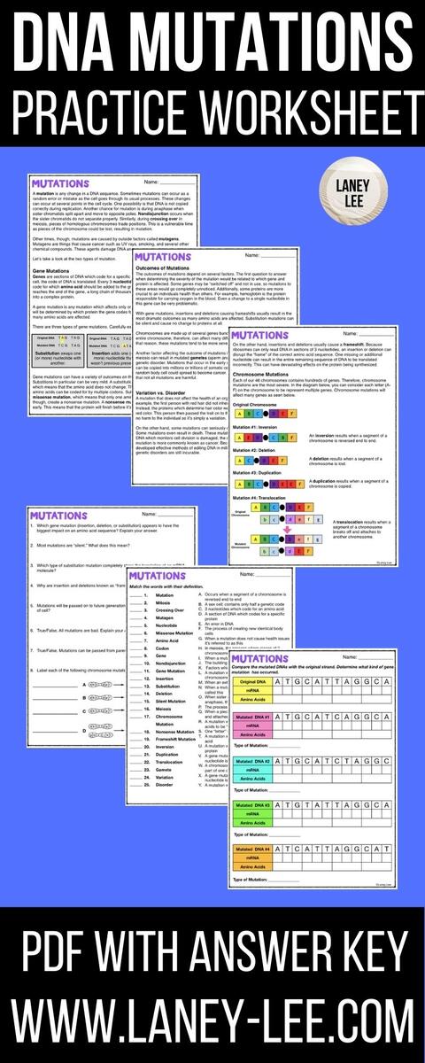 DNA Mutations Practice Worksheet With Answer Key Laney Lee DNA Mutations Practice Worksheet With Answer Key Laney Lee
